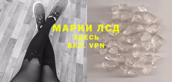 индика Михайлов