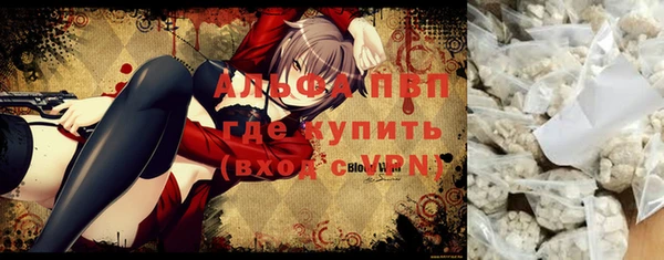 индика Михайлов