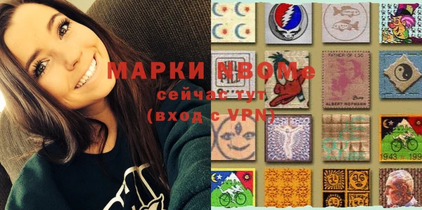 индика Михайлов